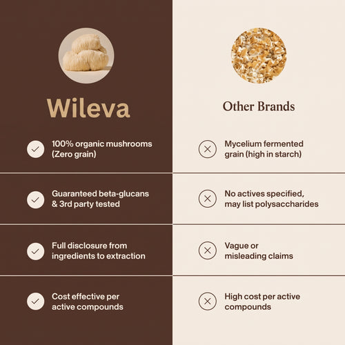 Wileva Lion’s Mane For Clear Mind & Sharp Focus.