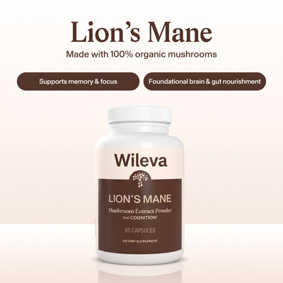 Wileva Lion’s Mane For Clear Mind & Sharp Focus.