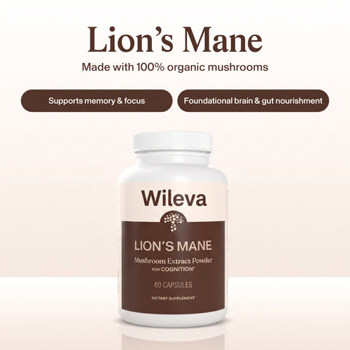 Wileva Lion’s Mane For Clear Mind & Sharp Focus.
