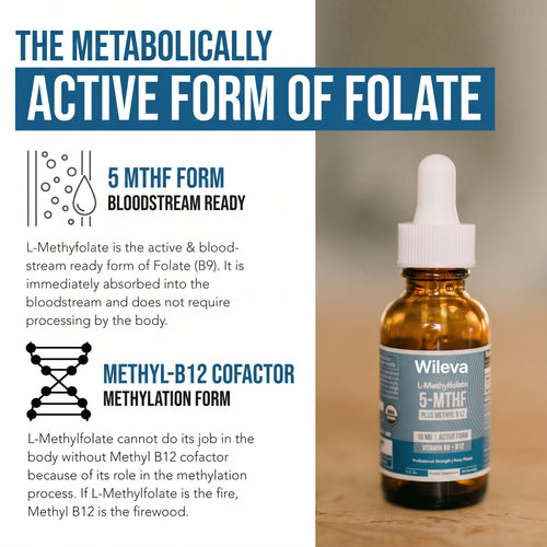 Wileva 5-MTHF + Methyl B12. Clear Your Mind. Find Your Focus. Feel Like You Again.